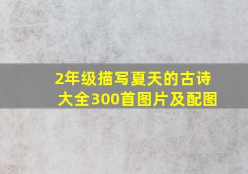 2年级描写夏天的古诗大全300首图片及配图