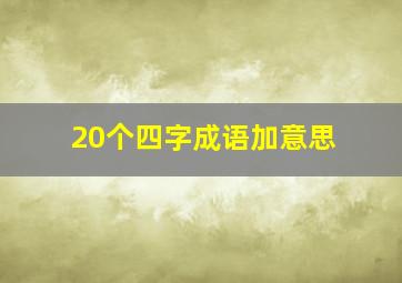 20个四字成语加意思