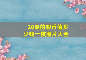 20克的银币值多少钱一枚图片大全