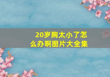 20岁胸太小了怎么办啊图片大全集