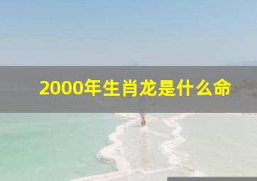 2000年生肖龙是什么命