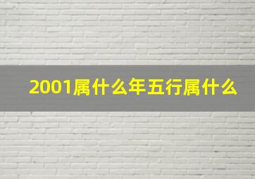 2001属什么年五行属什么