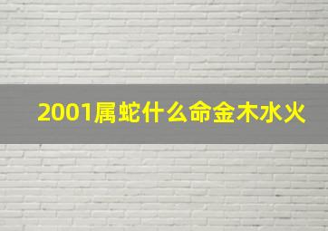 2001属蛇什么命金木水火