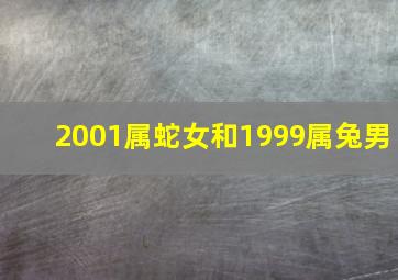 2001属蛇女和1999属兔男