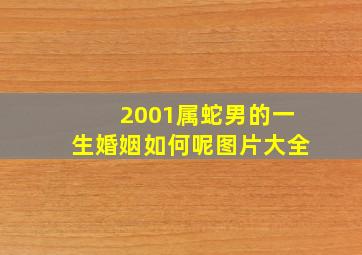 2001属蛇男的一生婚姻如何呢图片大全