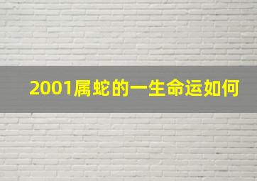 2001属蛇的一生命运如何