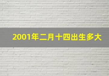 2001年二月十四出生多大