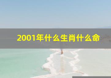 2001年什么生肖什么命