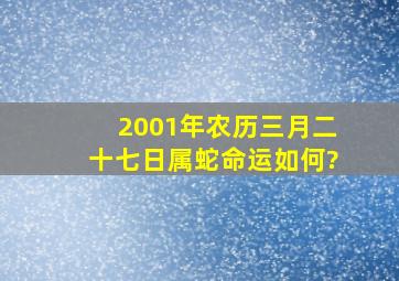 2001年农历三月二十七日属蛇命运如何?