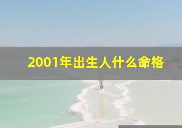 2001年出生人什么命格