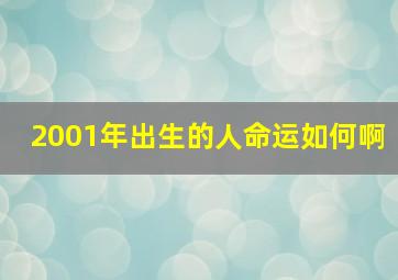 2001年出生的人命运如何啊