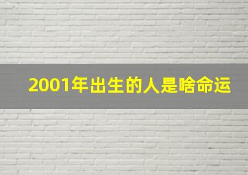 2001年出生的人是啥命运