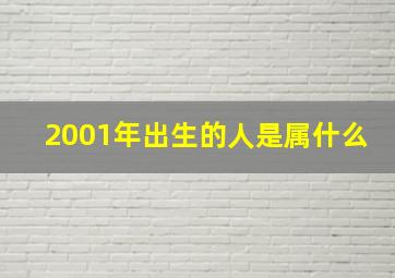 2001年出生的人是属什么