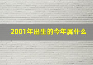 2001年出生的今年属什么