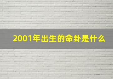 2001年出生的命卦是什么