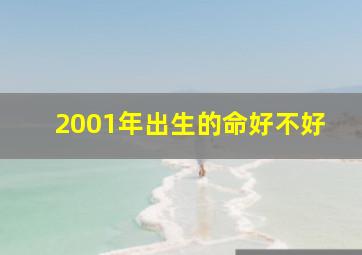 2001年出生的命好不好