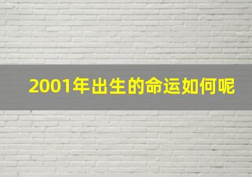 2001年出生的命运如何呢