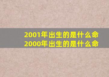 2001年出生的是什么命2000年出生的是什么命