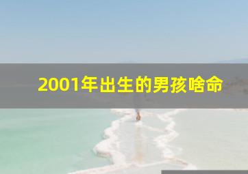 2001年出生的男孩啥命