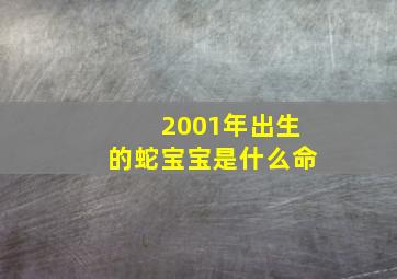 2001年出生的蛇宝宝是什么命