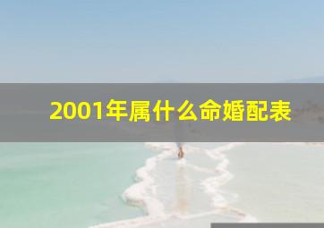 2001年属什么命婚配表