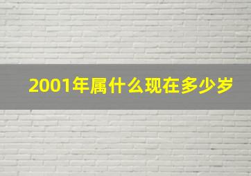 2001年属什么现在多少岁