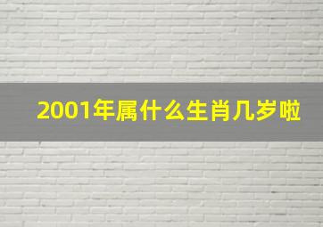 2001年属什么生肖几岁啦