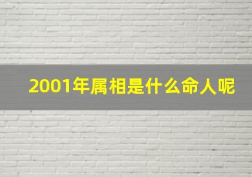 2001年属相是什么命人呢