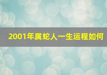 2001年属蛇人一生运程如何