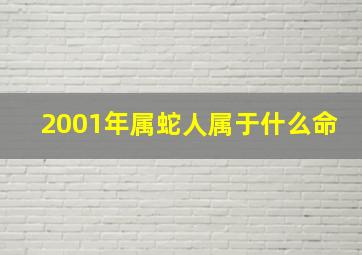 2001年属蛇人属于什么命