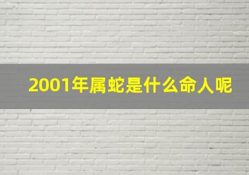 2001年属蛇是什么命人呢