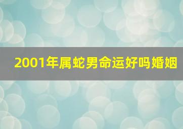 2001年属蛇男命运好吗婚姻