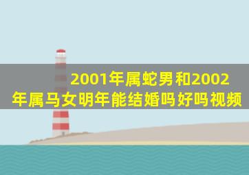 2001年属蛇男和2002年属马女明年能结婚吗好吗视频