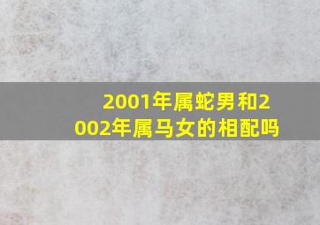 2001年属蛇男和2002年属马女的相配吗