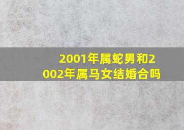 2001年属蛇男和2002年属马女结婚合吗