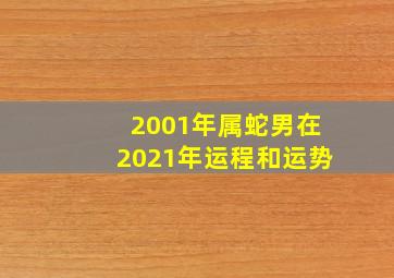 2001年属蛇男在2021年运程和运势