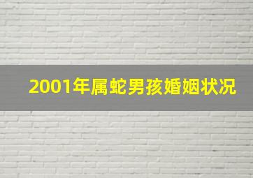 2001年属蛇男孩婚姻状况