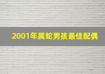 2001年属蛇男孩最佳配偶