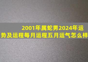 2001年属蛇男2024年运势及运程每月运程五月运气怎么样