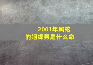 2001年属蛇的姻缘男是什么命