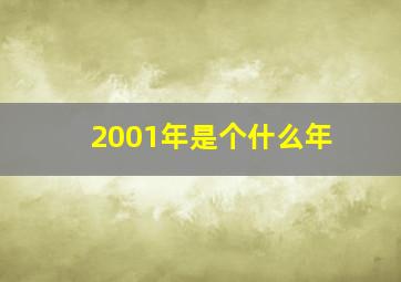 2001年是个什么年