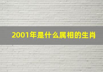 2001年是什么属相的生肖