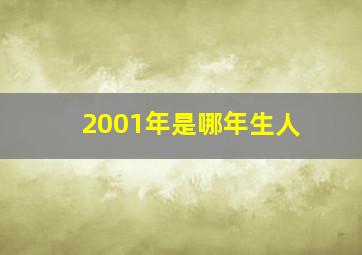 2001年是哪年生人