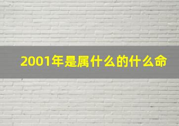 2001年是属什么的什么命