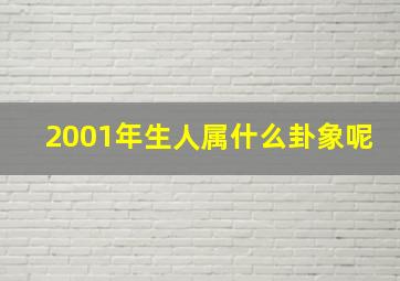 2001年生人属什么卦象呢