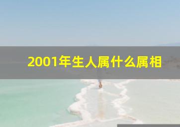 2001年生人属什么属相