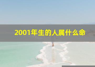 2001年生的人属什么命