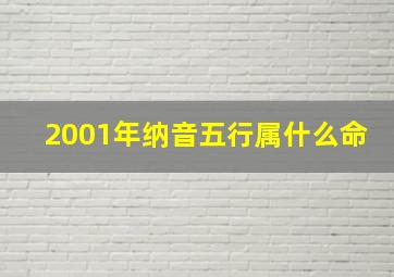 2001年纳音五行属什么命