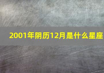 2001年阴历12月是什么星座