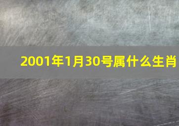 2001年1月30号属什么生肖